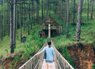 Mua tour đà lạt du lịch tết tân sửu ngay để nhận ưu đãi tour da lat tet