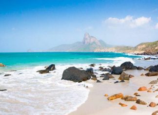 Chia sẻ kinh nghiệm du lịch Côn Đảo chi tiết từ A đến Z dành cho người mới