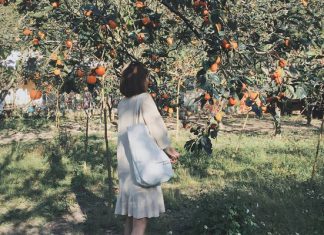 Check-in vườn hồng trĩu quả tuyệt đẹp trong chuyến du lịch Đà Lạt