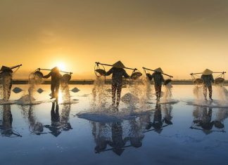 Trải nghiệm làng nghề làm muối dành cho du khách trong và ngoài nước Trải nghiệm làng nghề làm muối dành cho du khách trong và ngoài nước