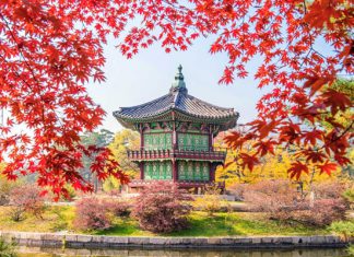 Tham khảo kinh nghiệm du lịch Hàn Quốc mùa thu cần thiết nhất Tham khảo kinh nghiệm du lịch Hàn Quốc mùa thu cần thiết nhất