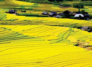 Kinh nghiệm du lịch Điện Biên mùa thu cùng những điểm đến hấp dẫn Kinh nghiệm du lịch Điện Biên mùa thu cùng những điểm đến hấp dẫn