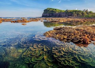 Bí kíp du lịch Quảng Ngãi tự túc đầy đủ và tiết kiệm nhất Bí kíp du lịch Quảng Ngãi tự túc đầy đủ và tiết kiệm nhất