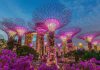 Bí kíp du lịch Singapore mới nhất 2023 cho những mới đến lần đầu