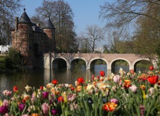 Hòa mình vào lễ hội hoa Floralia Brussels sắc màu khi du lịch Bỉ