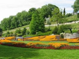 Chiêm ngưỡng vẻ đẹp của đảo hoa Mainau ở miền Nam nước Đức